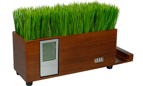 2021年1月植物草木盒1